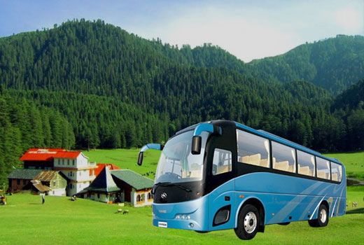 Luxury Bus Tour Package