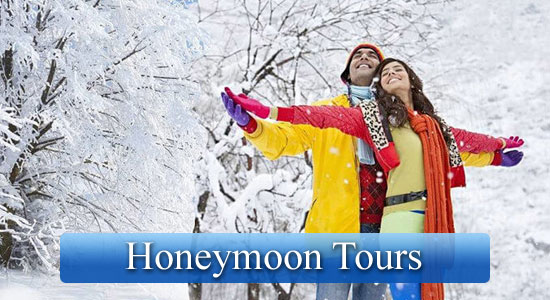 Himachal Honeymoon Tour Package